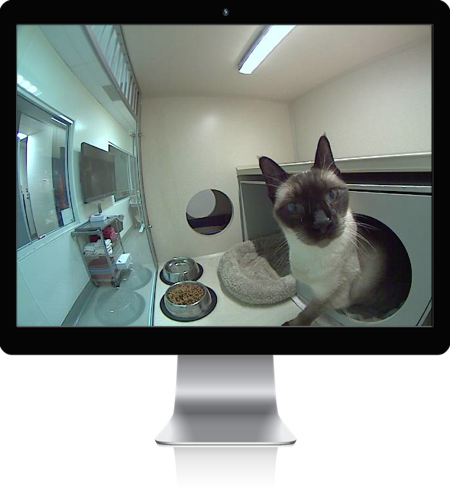 iCat webcams